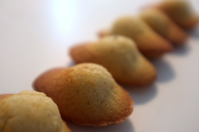 Madeleines à la vanille