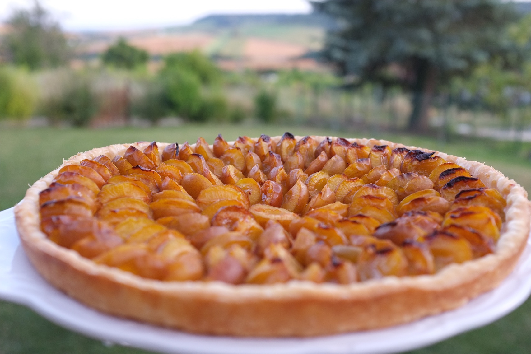 Tarte aux mirabelles de mamie Paulette